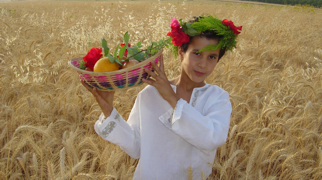 שבועות בקק"ל  (צילום: מיכאל חורי)