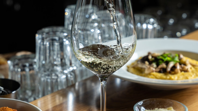 'מאמא גרג', קיץ 2023 (צילום: דוד מויאל)