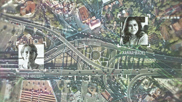 פגסוס (צילום: באדיבות הוט)