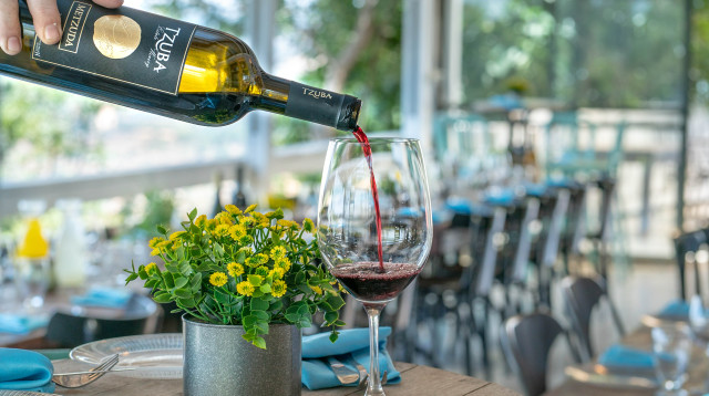 יקב צובה (צילום: תיירות מטה יהודה )