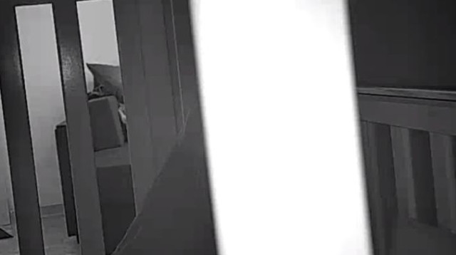 הבגידה נחשפה בזכות ה"בייבי מוניטור" (צילום: רשתות חברתיות)