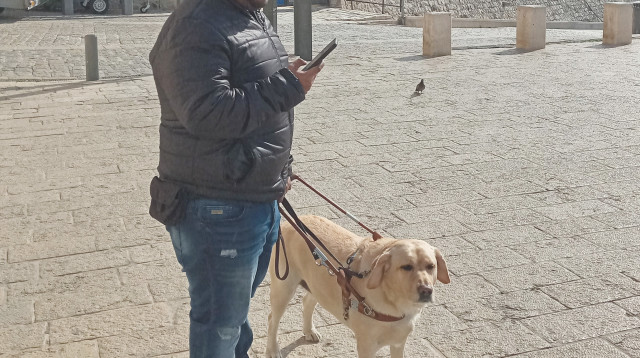 לקוי ראייה עם כלב נחייה (צילום: סטפ היר)