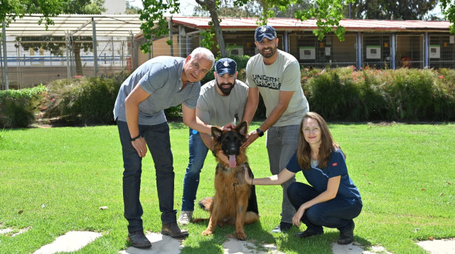 הכלב שנמצא במצב אנוש בזירת הרצח‎‎ (צילום: רן אליהו)