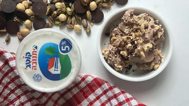 גלידת קוטג' בטעמי שוקולד וניל (צילום: עומר ישכיל)