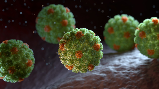 וירוס הפפילומה (צילום: אינגאימג')