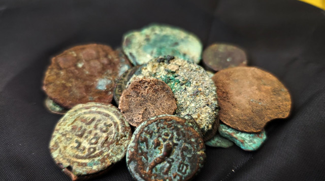 המטבעות העתיקים (צילום: רשות העתיקות)
