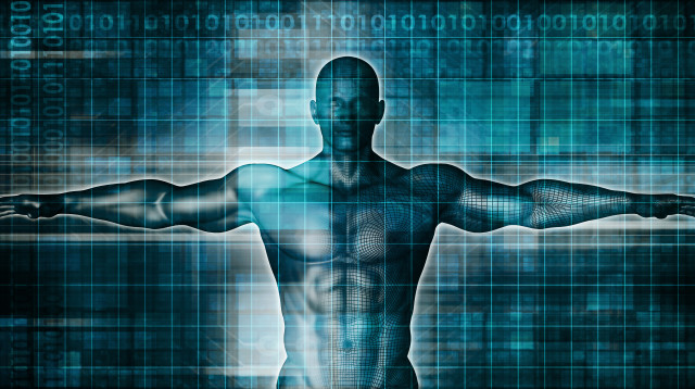 גוף האדם, אילוסטרציה (צילום: אינג'אימג')