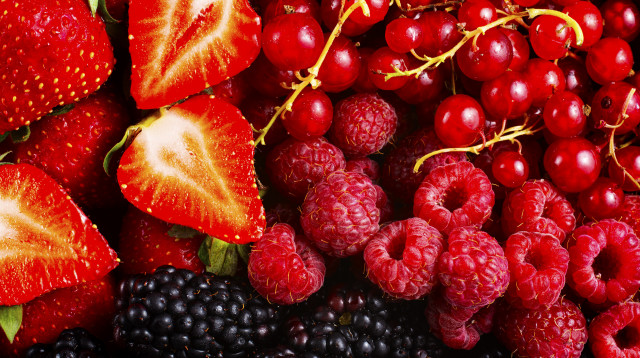 פירות יער (צילום: אינגאימג')