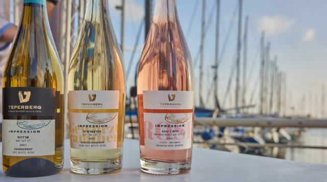 פסטיבל יין לבן (צילום: ולדיסלב גורניך)