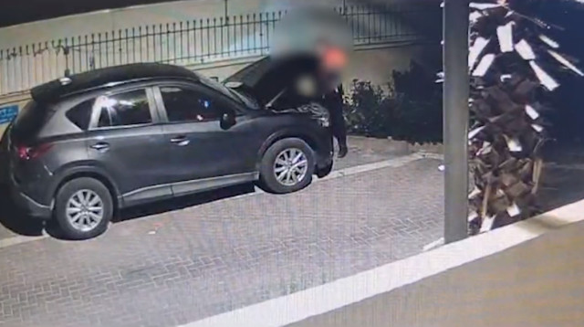 גניבת רכבים (צילום: דוברות המשטרה)