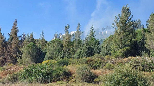 שריפה, אילוסטרציה (צילום: דוברות המשטרה)