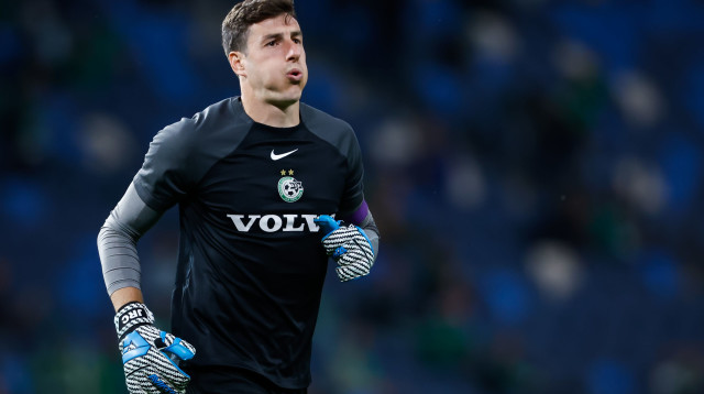 ג'וש כהן (צילום: מאור אלקסלסי)