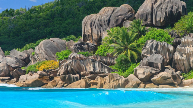 איי סיישל  (צילום: פלייאיסט)