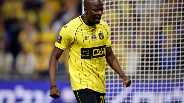 התרשם לטובה. אספרייה (צילום: מאור אלקסלסי)