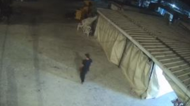 החשד לתג מחיר בכפר לובה (צילום: מצלמות אבטחה)