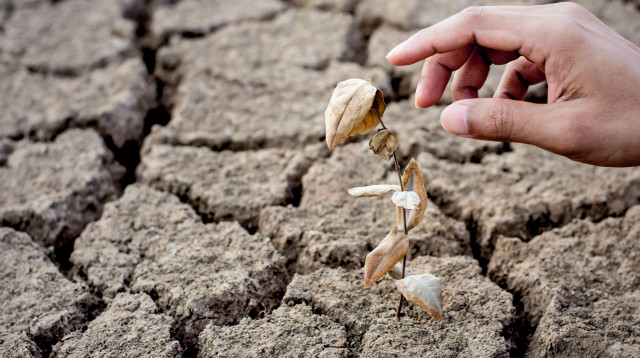 כך שינויי האקלים משפיעים על התכניות שלנו (צילום: אינג'אימג')