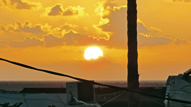 גברת פורטונה (צילום: נתן זהבי)