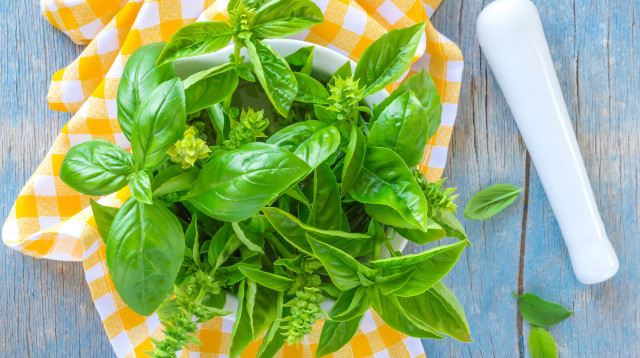 בזיליקום (צילום: אינגאימג')