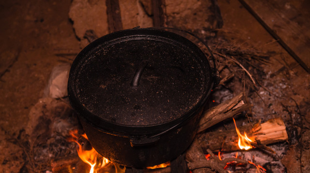 פויקה (צילום: אינגאימג')