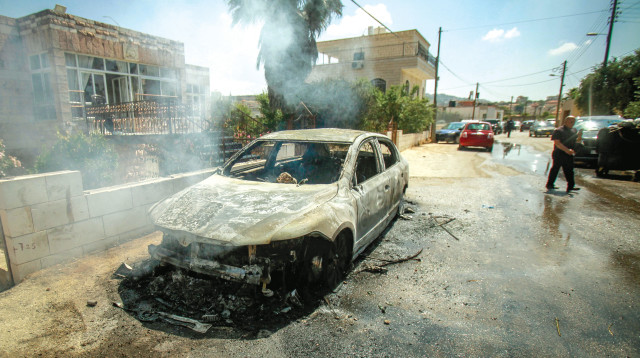 תורמוס (צילום: נאסר אישטייח, פלאש 90)