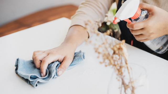 ניקוי בטוח, אקולוגי וקל (צילום: Canva)