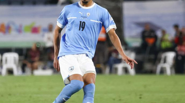 רוי רביבו (צילום: ברני ארדוב)