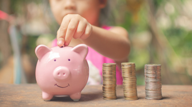 קופת חזיר (צילום: אינג'אימג')