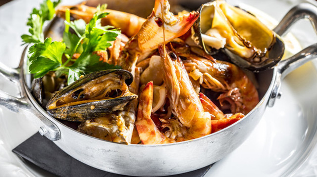 לוקס (צילום: אפיק גבאי)