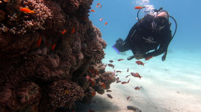 ברק חרובי  (צילום: אוסף פרטי)