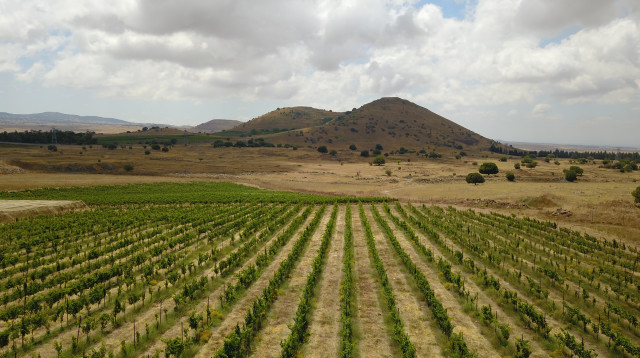 הנוף ממתחם הגלמפינג באורטל   (צילום: אורן גבאי גולן)