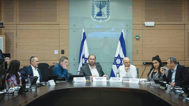 ועדת החוקה (צילום: חיים גולדברג)