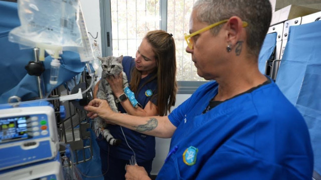 המרכז הווטרינרי החדש. ישרת את יישובי גוש דן (צילום: עמוס לוזון צלמים)