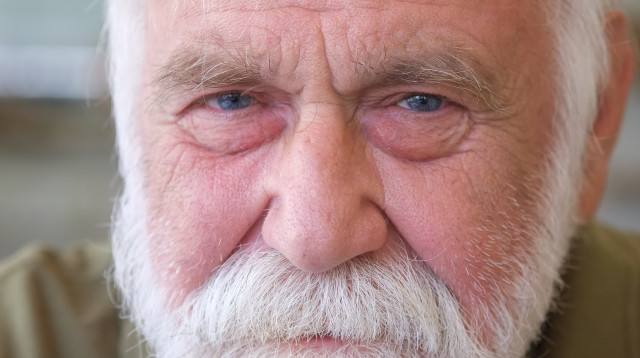 דני קרמן (צילום: חנן לסקין)