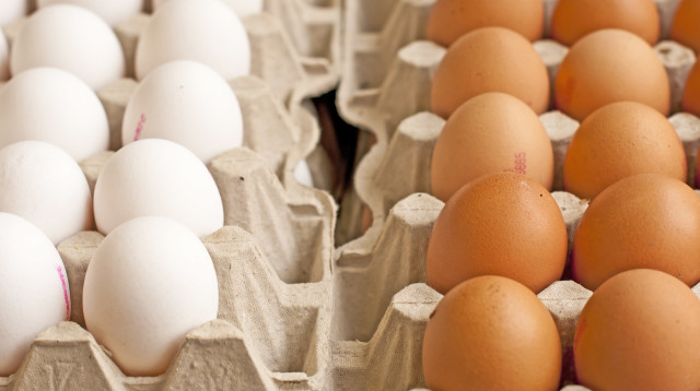 ביצים (צילום: אינגאימג')
