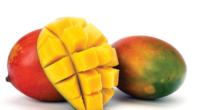 מנגו (צילום: אינגאימג')