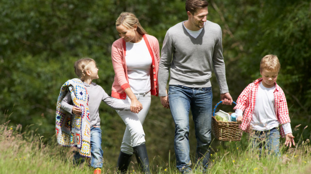 משפחה יוצאת לפיקניק, אילוסטרציה (צילום: אינגאימג')