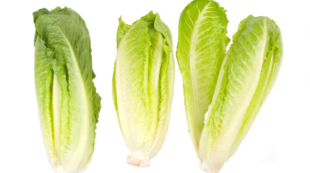 חסה (צילום: אינגאימג')