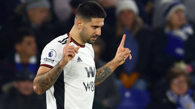 11 שערים העונה בפרמיירליג. אלכסנדר מיטרוביץ' (צילום: רויטרס)