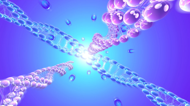 DNA (צילום: אינגאימג')