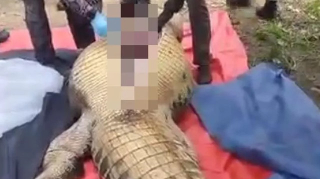 מחריד: המשפחה לא האמינה היכן תמצא את בן המשפחה (צילום: רשתות חברתיות)