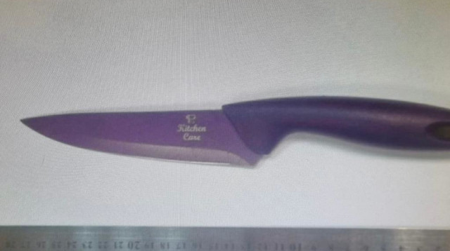 הסכין שנתפסה (צילום: דוברות המשטרה)