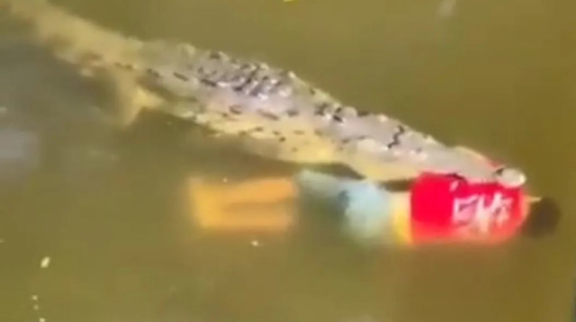 תנין טורף למוות כדורגלן בקוסטה ריקה (צילום: צילום מסך, מתוך טוויטר)