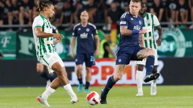 בסלובקיה גילו סלחנות. קוצקה (צילום: אימג'בנק  GettyImages, Laszlo Szirtesi)