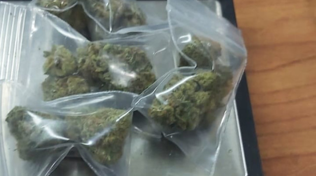 הסמים שנתפסו בגינת דוידוב (צילום: דוברות המשטרה)