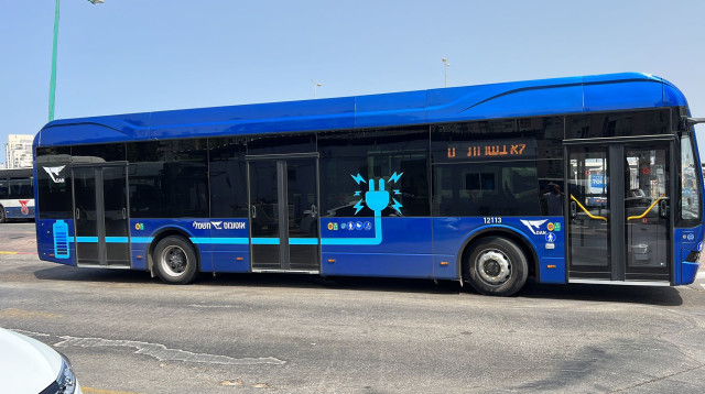 אוטובוס של חברת דן. "דוגמה להתבהמותה של החברה הישראלית" (צילום: דוד קמחי)