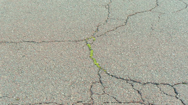 מדרכה סדוקה, אילוסטרציה (צילום: אינגאימג')