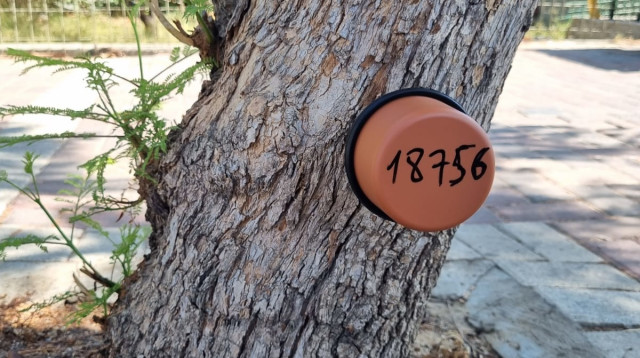 חיישן לאיתור טרמיטים. "תופעה שאינה מזיקה לאדם אלא רק למוצרי עץ" (צילום: דוברות עיריית פתח תקווה)