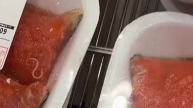 תולעת טפילית בדג הסלמון (צילום: מתוך טיקטוק)