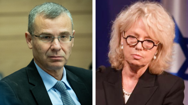 גלי בהרב-מיארה, יריב לוין  (צילום: יונתן זינדל פלאש 90,נתן ווייל, לע"מ)