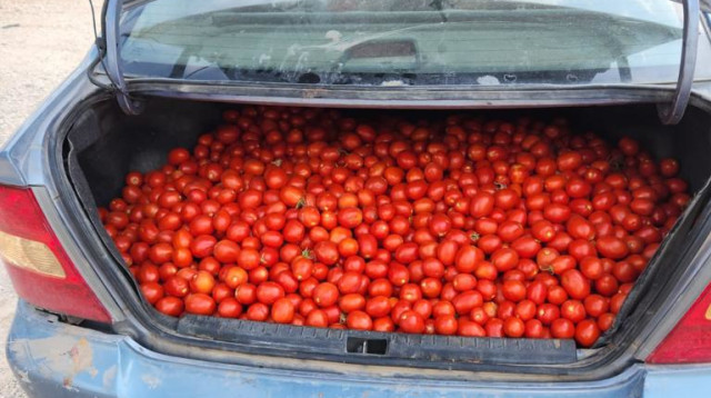 הרכב של החשודות (צילום: דוברות המשטרה)